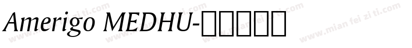 Amerigo MEDHU字体转换